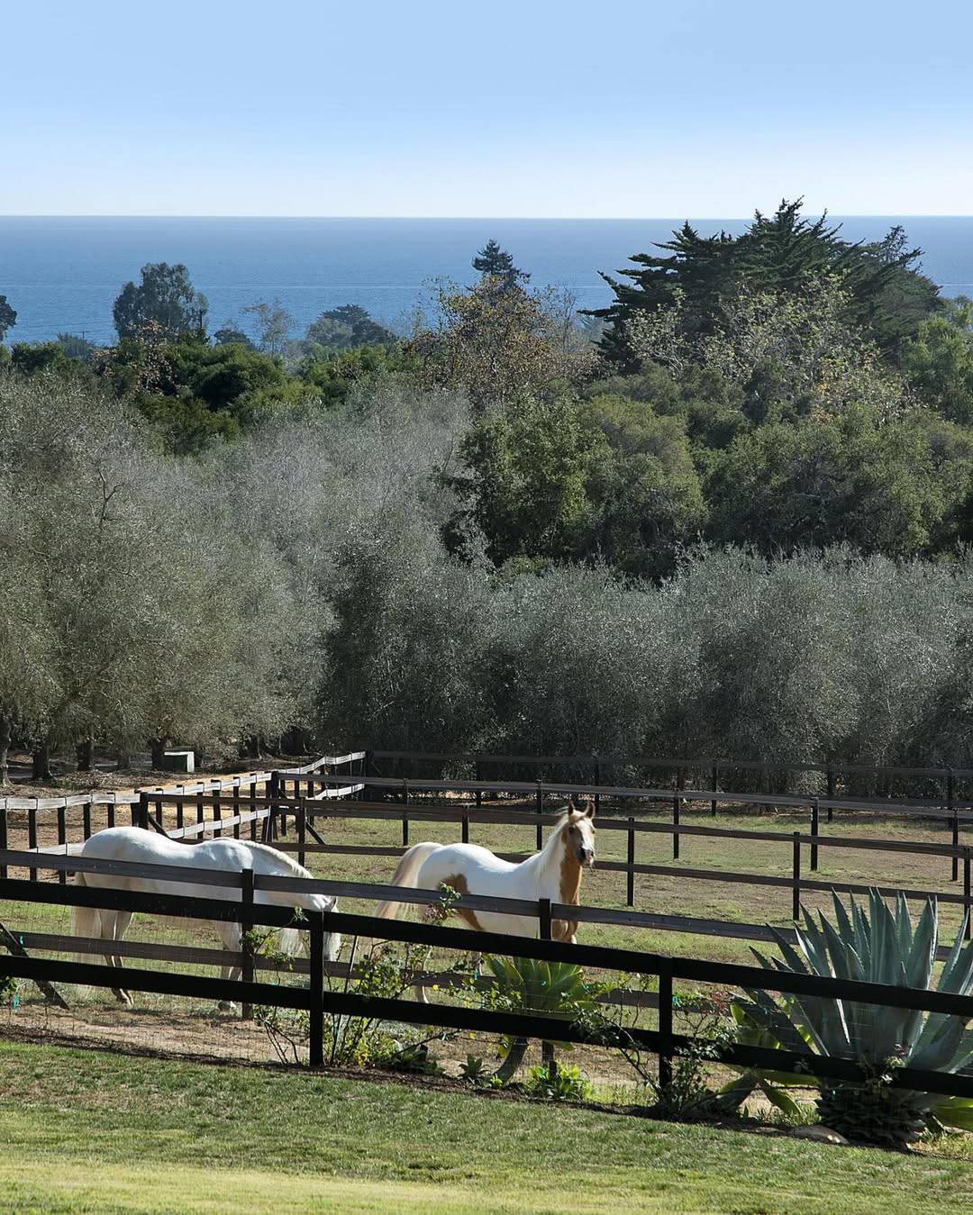 Montecito equestrian estate purchased by Kendall Jenner featuring horse stables and expansive landscaped grounds